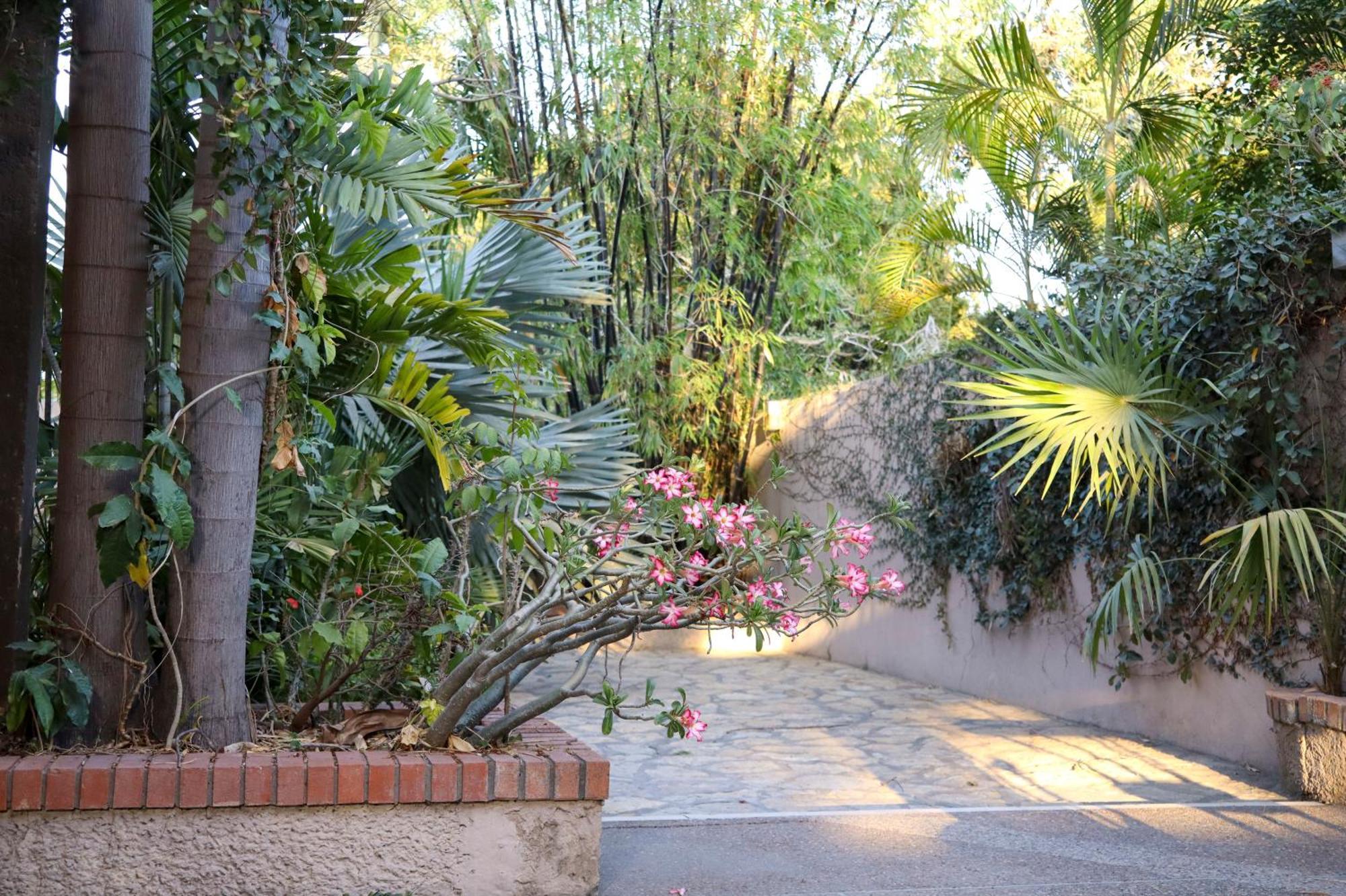 Hotel Casa Ortiz Ciudad Valles Dış mekan fotoğraf